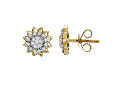 Gold Plated | Fashion Earrings